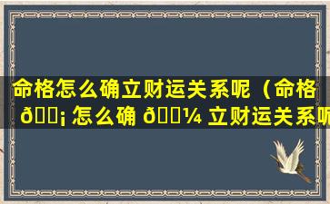 命格怎么确立财运关系呢（命格 🐡 怎么确 🐼 立财运关系呢女生）